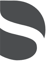 DS Core logo